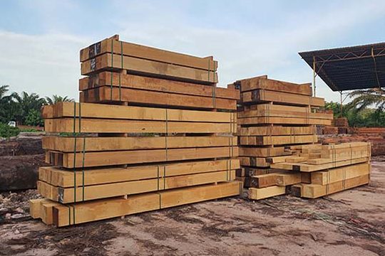 Cangwang Timber Sdn Bhd 1 cangwang timber sdn bhd