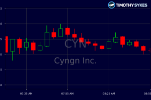 CYYY Shing Trading