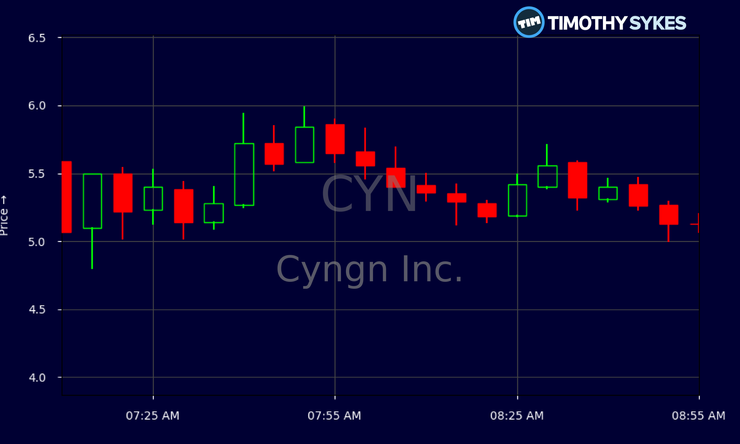 CYYY Shing Trading 1 cyyy shing trading scaled