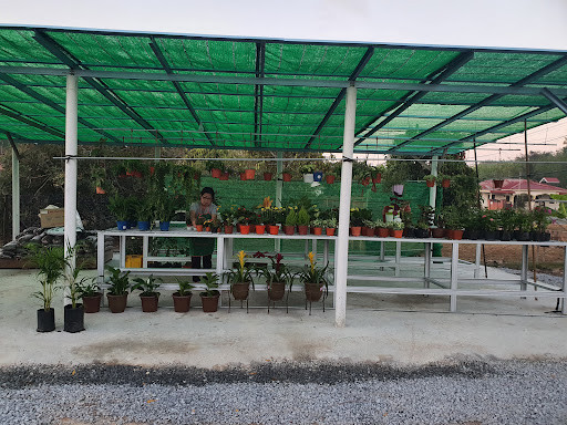 Musyali Trading
