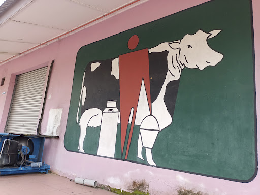 Syarikat Perniagaan Sim Sen