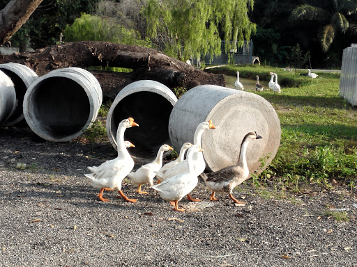 Washun Hardware Sdn. Bhd.
