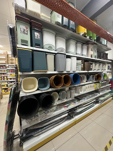 MR.DIY