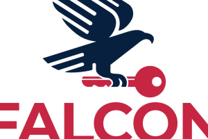 Falcon Locksmith