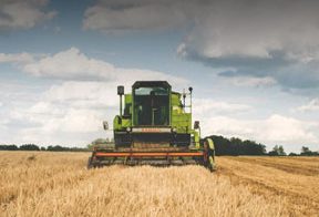 Pang Hardware & Agriculture