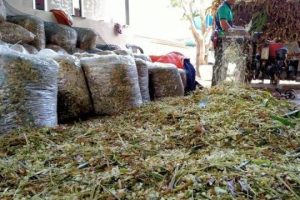 Perniagaan Kampung Sidam