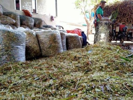 perniagaan kampung sidam